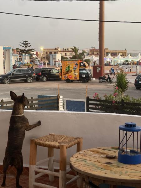 A la foto es mostra l'objecte Villa BELAKTIB situat a la ciutat de Safi.