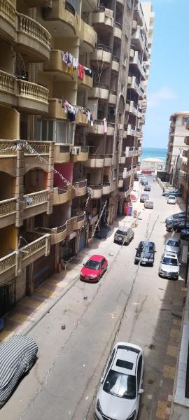 Fotografia 4: العصافره