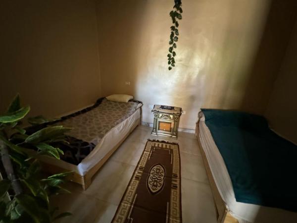 Nella foto è visibile l'oggetto Zizo fayed situato nella città di Il Cairo.
