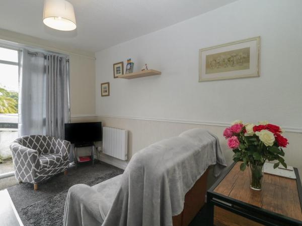 Flat 3, Big Tree Holiday Flats photo 4