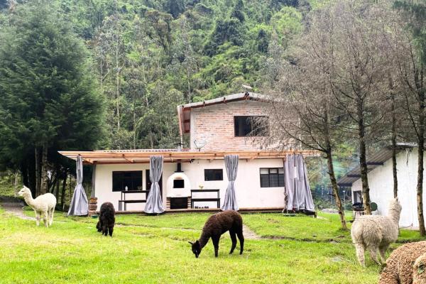 Nella foto è visibile l'oggetto Casa de Campo Papallacta en Reserva Natural Privada situato nella città di Papallacta.