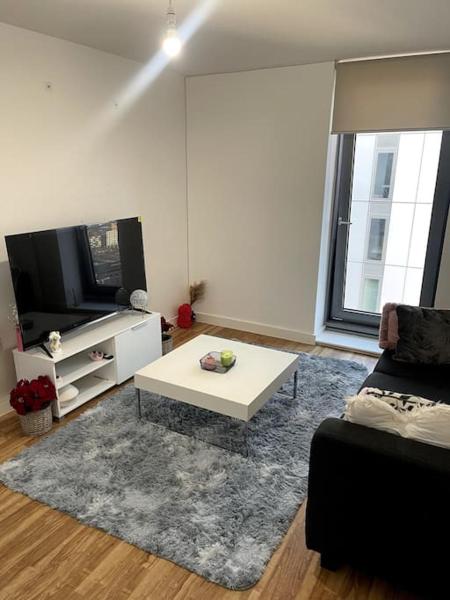 Cozie 1 BR apartment, Manchester