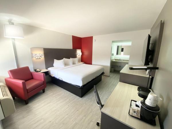 Interior Entrance King Room with One King Bed - Non-Smoking — 19 m² - Ramada by Wyndham Tuscaloosa