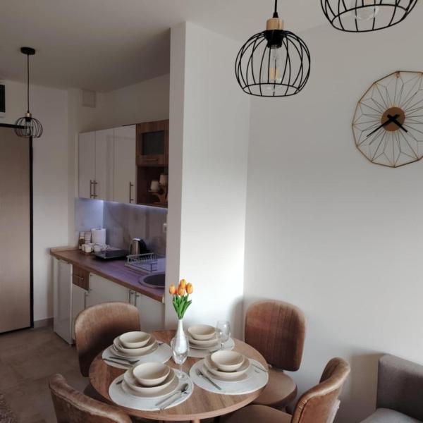 A la foto es mostra l'objecte Apartman Pavlović Divčibare situat a la ciutat de Divčibare.