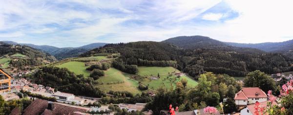 A la foto es mostra l'objecte Hotel Schauinsland situat a la ciutat de Bad Peterstal.