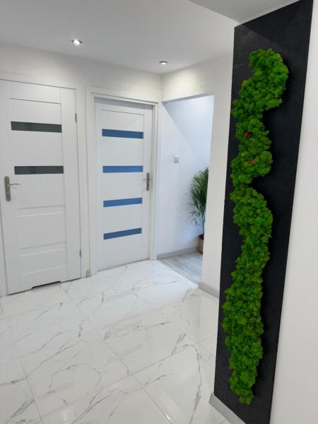 På billedet ses objektet Apartament NOWE MIASTO beliggende i byen Wałbrzych.