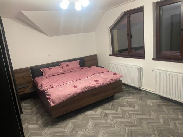 Nella foto è visibile l'oggetto Casa Andrei ! situato nella città di Buchin.