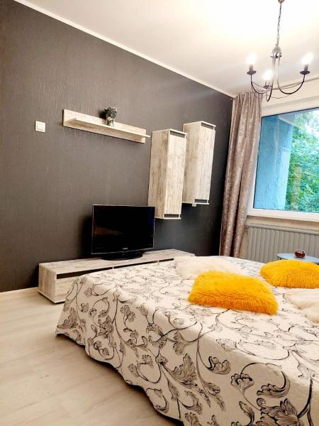 På billedet ses objektet Apartment in Dainava self check in beliggende i byen Murava.