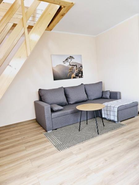 En la foto se muestra el objeto Apartament pod laskiem ubicado en la ciudad de Kamienna.