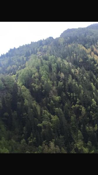 A la foto es mostra l'objecte Guest House DEDA TINA situat a la ciutat de Iprari.