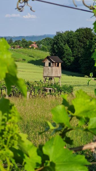 Na zdjęciu widoczny jest obiekt Hiša nad vinogradom położony w mieście Biš.