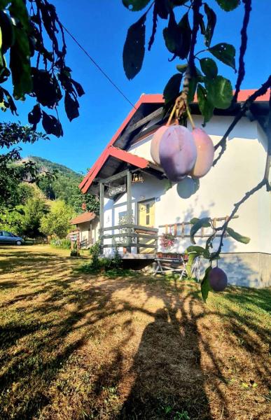 写真にはSpaljevići市にあるKosta's romantic houseが写っています。