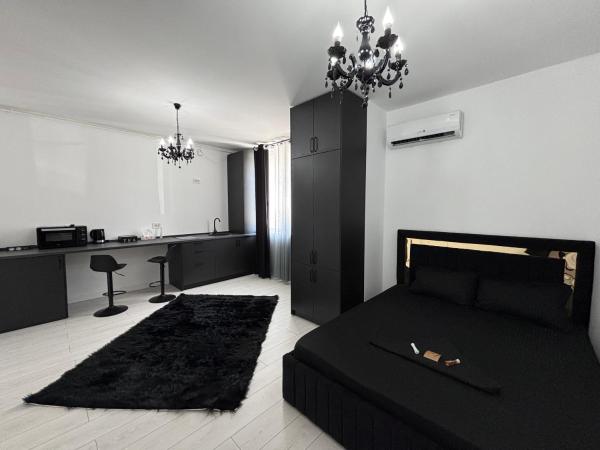 A la foto es mostra l'objecte Cozy elegant 1 bedroom apartment situat a la ciutat de Gară Filaret.