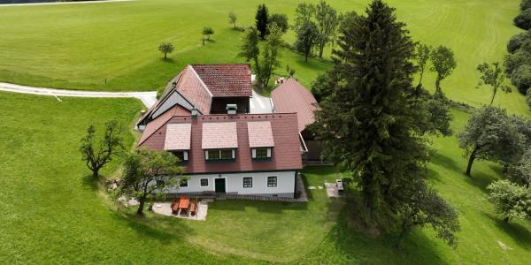 Billede 2: Stein im Holz