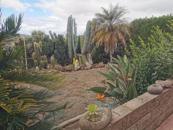 På billedet ses objektet Los Cactus beliggende i byen Las Mercedes.
