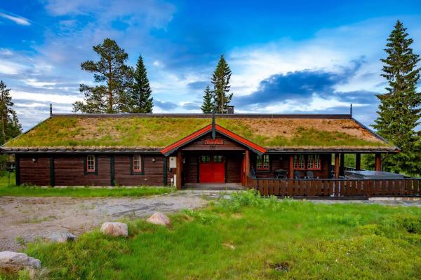 A la foto es mostra l'objecte Trysilfjellet Nord 170 situat a la ciutat de Mælem.