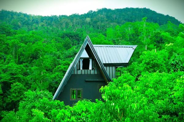 The photo shows the Cannelle Hill Cabanas located in the city of Morawaka.