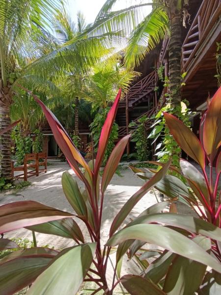 A la foto es mostra l'objecte Secret paradise mahahual situat a la ciutat de Mahahual.