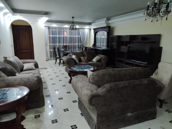 Photo 4 : Duplex at the heart of Shikh Zayed close to everywhere