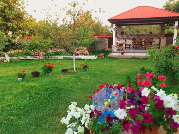 Vandam rental house, Qəbələ