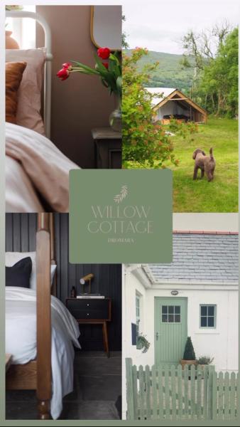 Na zdjęciu widoczny jest obiekt Willow Cottage położony w mieście Dromara.