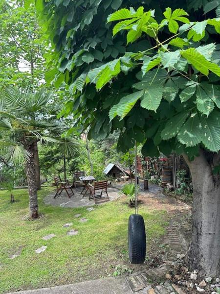 The photo shows the Peaceful and cozy villa located in the city of Timjanik.