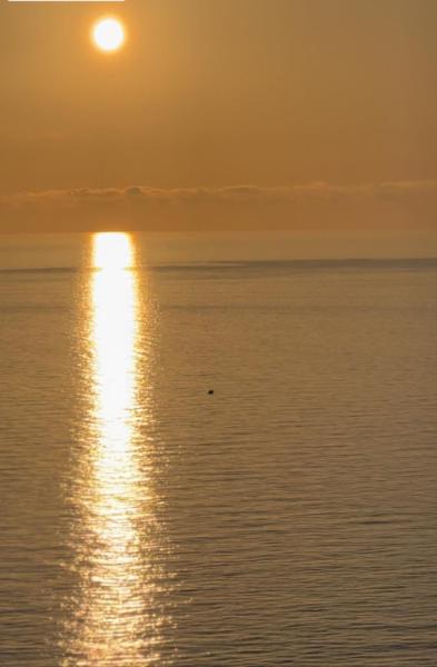 Foto 2: Apartment By The Sea