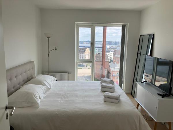 Op de foto is het object Marina Bay te zien, gelegen in de stad Aalborg.