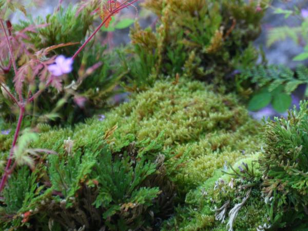民泊ウトカ photo 7