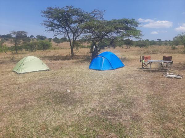 På billedet ses objektet Enkereri Camp Maasai Mara beliggende i byen Lolgorien.