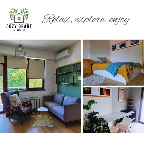 A la foto es mostra l'objecte Studio Cozy Grant situat a la ciutat de Bucarest.