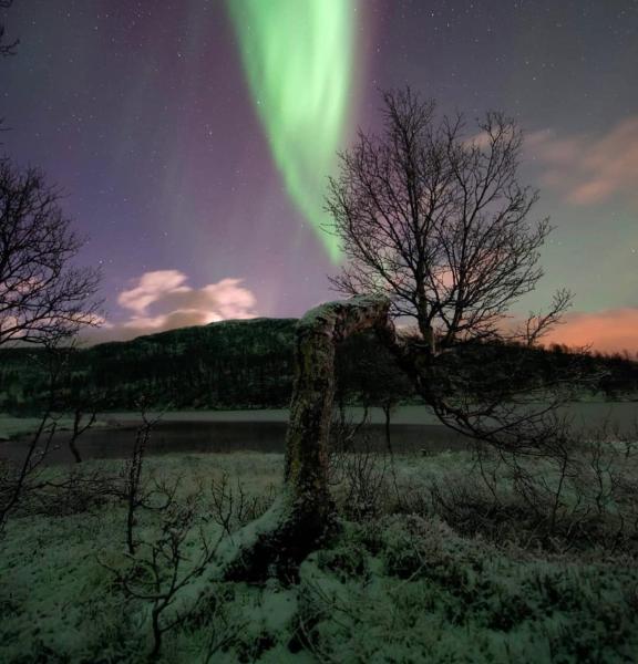 Foto 7: Harstad, all seasons