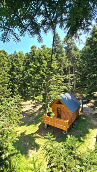 Kuvassa näkyy kohde sochiko, joka sijaitsee kaupungissa Agara.