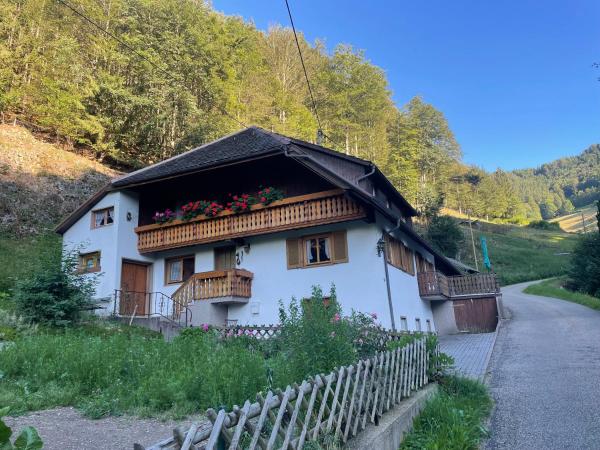 A la foto es mostra l'objecte Bauernhaus im Münstertal situat a la ciutat de Obermünstertal.