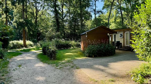 Fotografie 8: Chalet 205