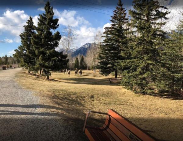 På billedet ses objektet 2 Bd Worldmark Canmore Banff Condo beliggende i byen Canmore.