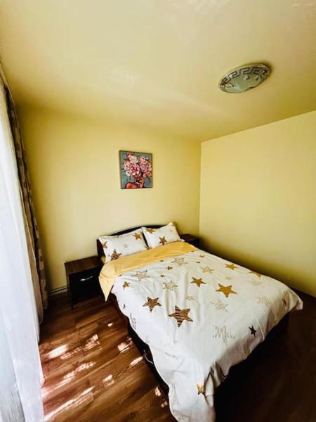 A la foto es mostra l'objecte Andy situat a la ciutat de Deva.