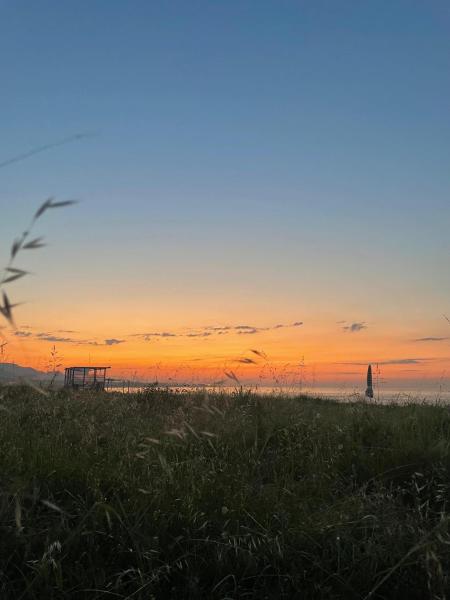 En la foto se muestra el objeto Ünye Kavaklar Holiday Houses ubicado en la ciudad de Bağlarca.