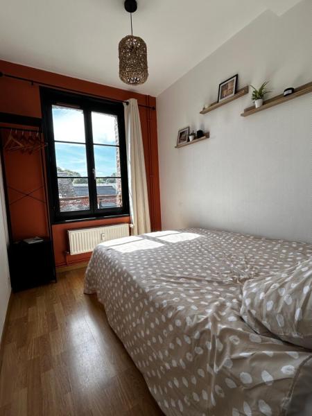 Foto 7: Edera
