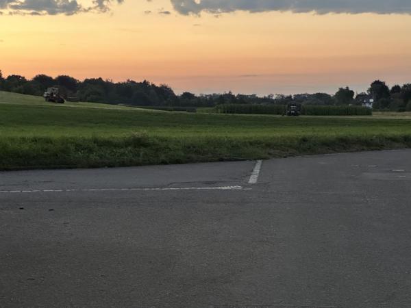 Nella foto è visibile l'oggetto Tulpe situato nella città di Bubesheim.