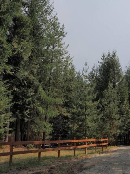 Photo 7 : Spacious, Custom-Built Log Cabin
