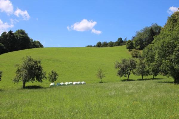 Auf dem Foto ist das Objekt Idyllisches Haus mit Garten und Saunahütte in der Natur in der Stadt Aigen zu sehen.