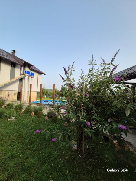 Auf dem Foto ist das Objekt Vikendica Semizovac pool and relax in der Stadt Crnjevac zu sehen.