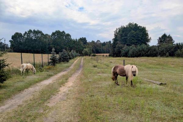 Kuvassa näkyy kohde Hacienda Natura Agroturystyka, joka sijaitsee kaupungissa Udzierz.