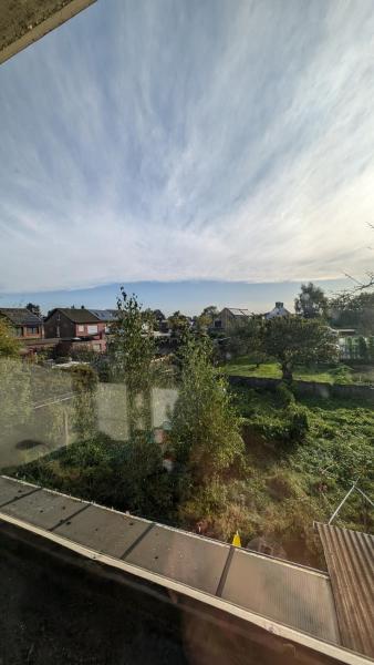 La photo montre Boboc's situé dans la ville de Kontich.