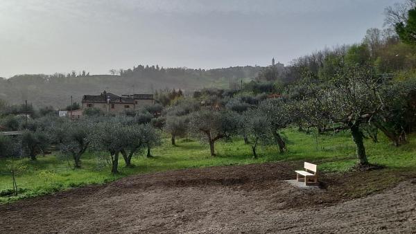 Auf dem Foto ist das Objekt Casa Olive Family in der Stadt Cereto zu sehen.