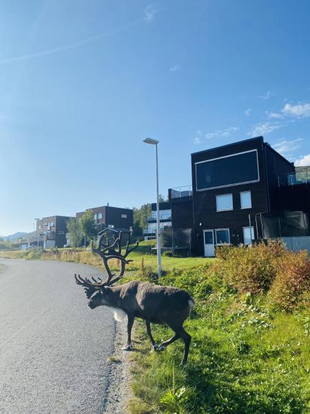 Auf dem Foto ist das Objekt Leilighet i Tromsø in der Stadt Tromsø zu sehen.
