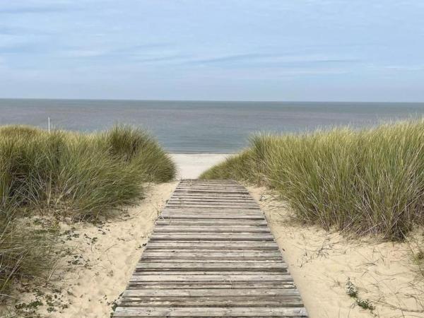 Photo 4 : Liguster 8