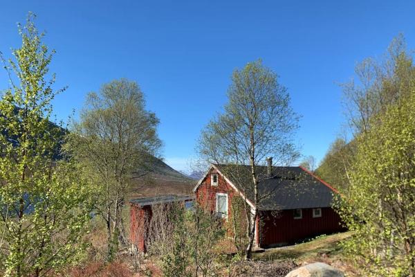Na fotografii je vidět objekt Peaceful cabin retreat in the Norwegian mountains nacházející se ve městě Hareid.