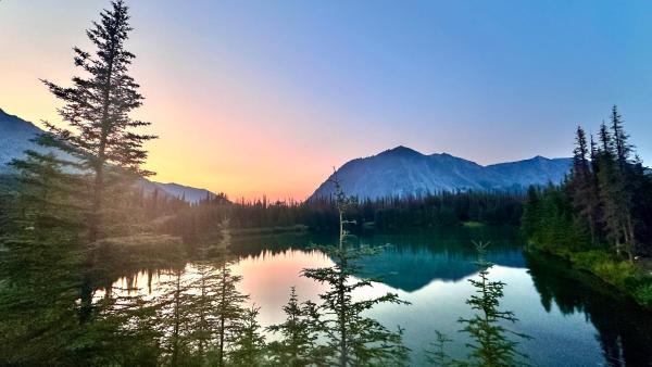 Twin Cabins-trout And Grayling - Denali National Park and Preserve